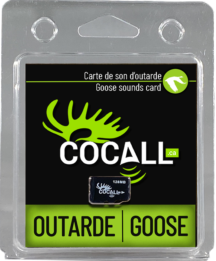 CARTE DE SON OUTARDE POUR COCALL