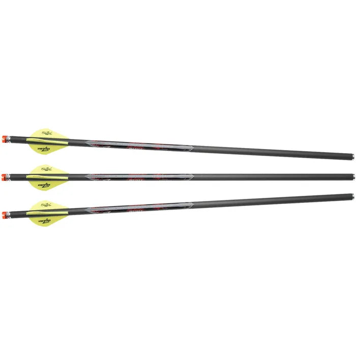 FLÈCHES ILLUMINÉE (PAK3)