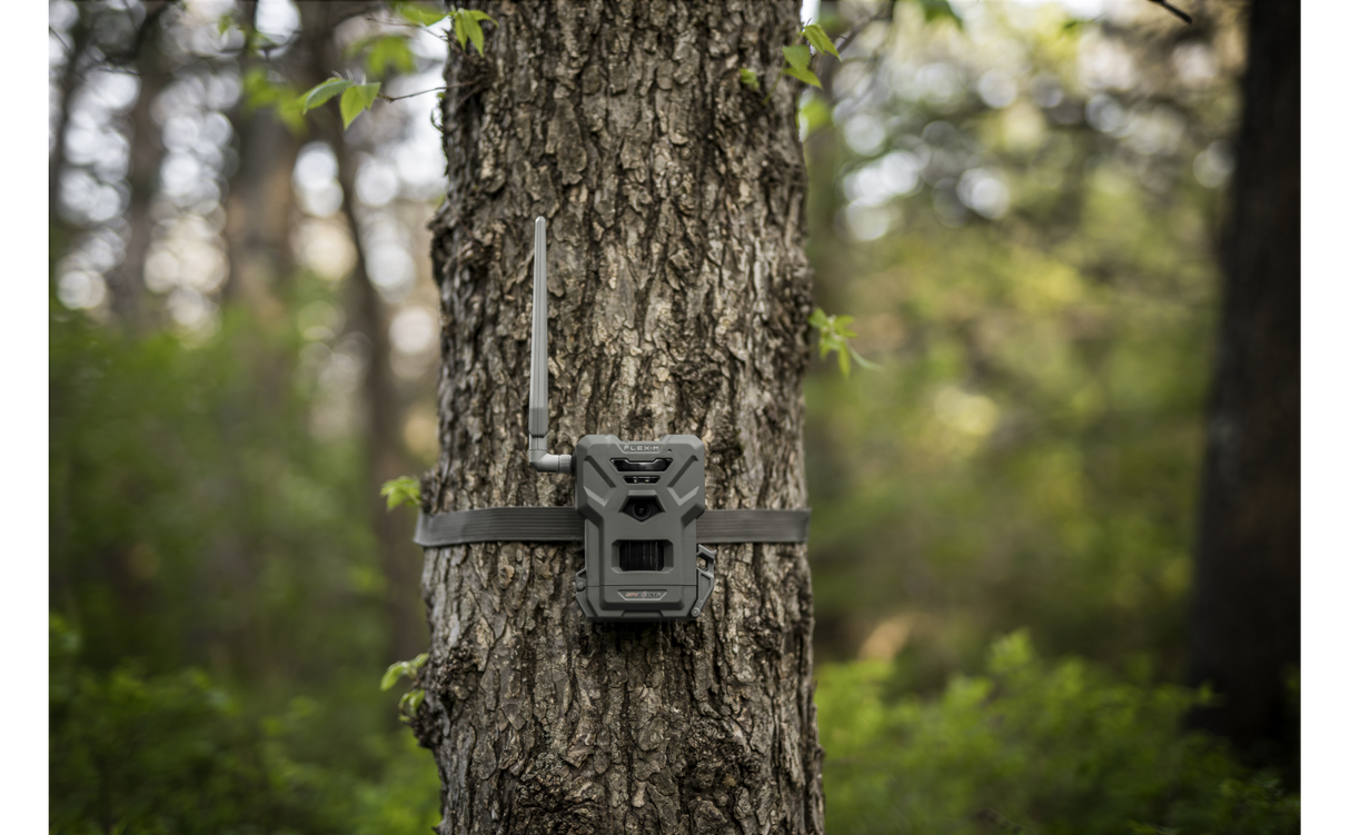 Caméra Spypoint Flex-M Duo Pack