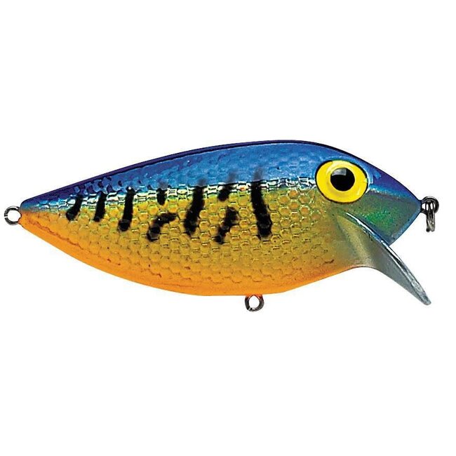 THIN FIN 08 METALLIC GOLD/BLUE/TIGER