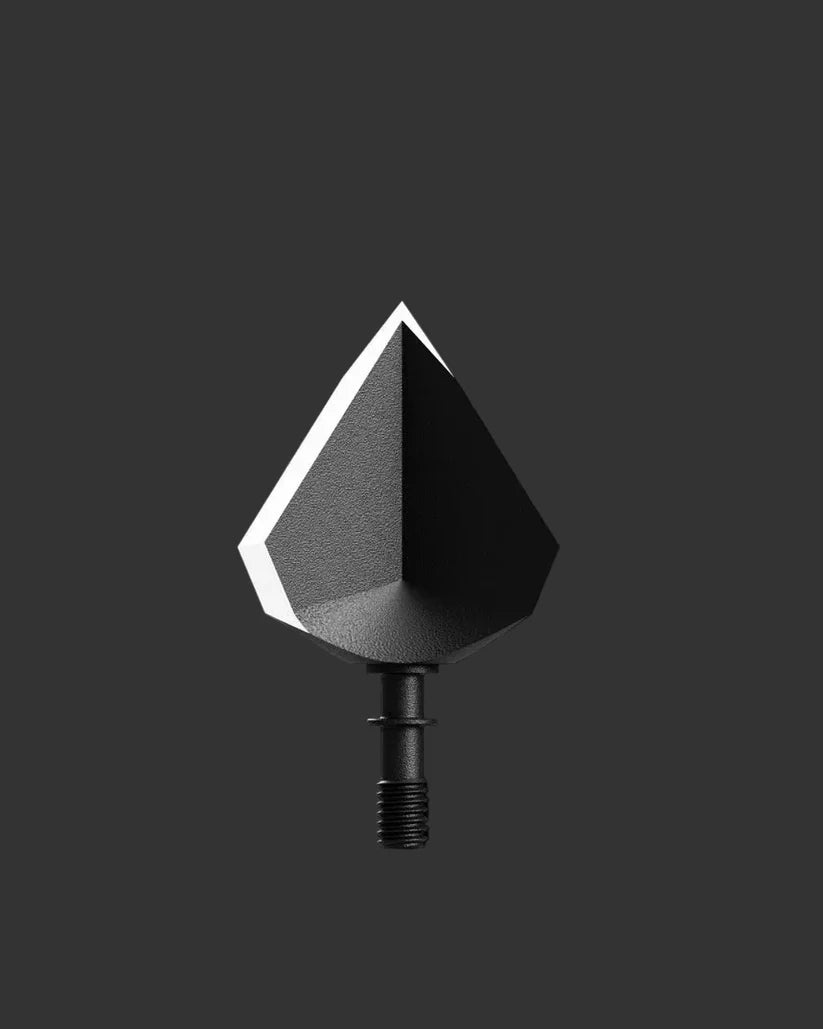 POINTE DE CHASSE SINGLE BEVEL XL 100 GRAIN