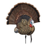 APPLANT  TROPHÉ TOM