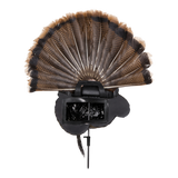 APPLANT  TROPHÉ TOM