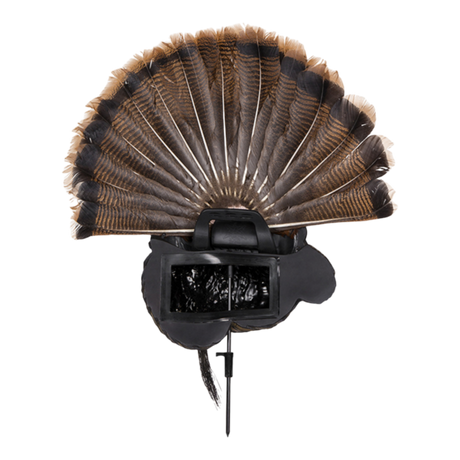 APPLANT  TROPHÉ TOM