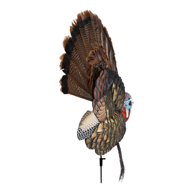 APPLANT  TROPHÉ TOM