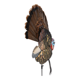 APPLANT  TROPHÉ TOM