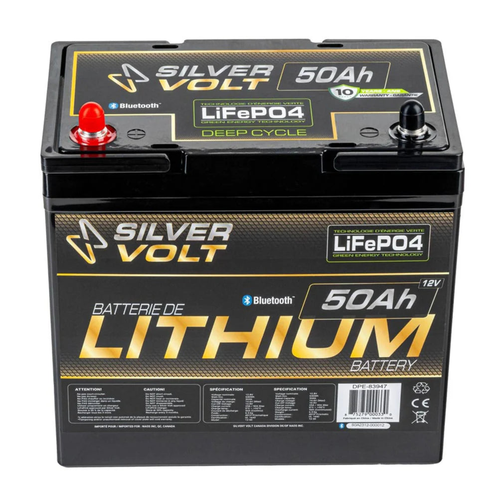 BATTERIE AU LITHIUM RECHARGEABLE "LiFePO4" - 50A