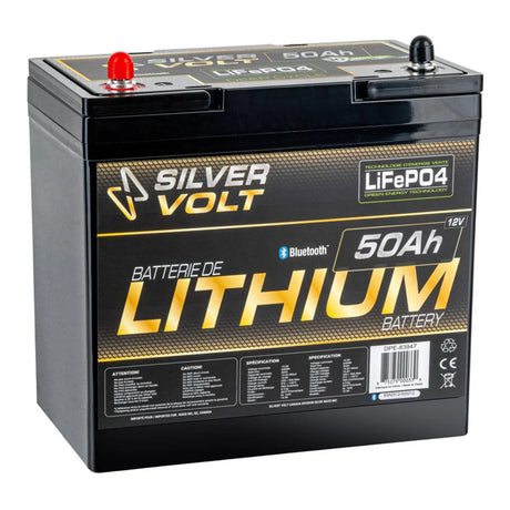BATTERIE AU LITHIUM RECHARGEABLE "LiFePO4" - 50A