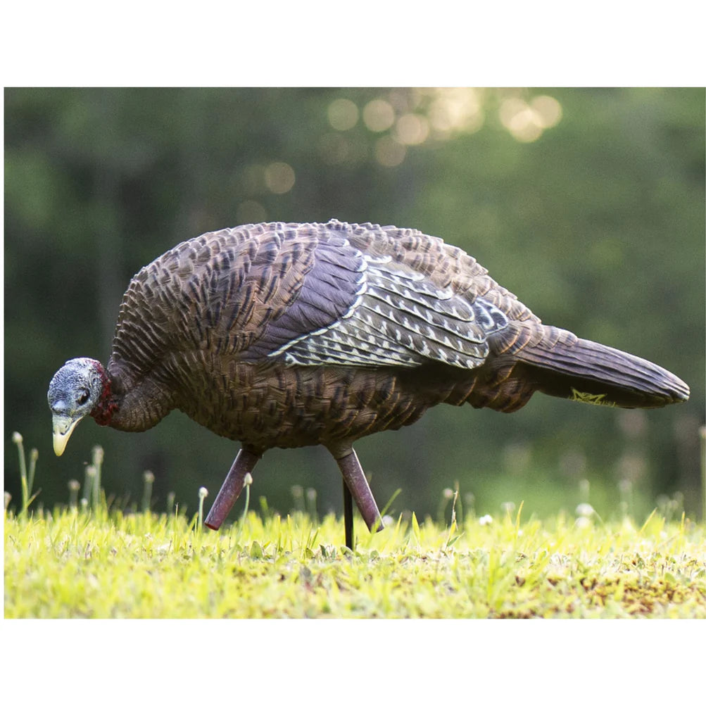 Appelant LCD FEEDER HEN