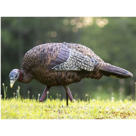 Appelant LCD FEEDER HEN