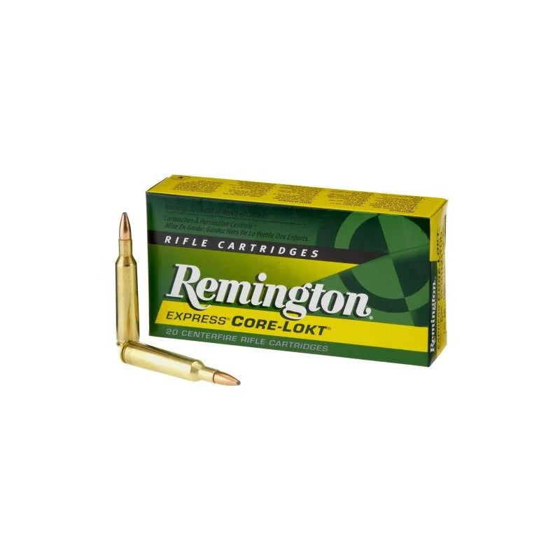 MUNITION CAL. 243  100GR PSP