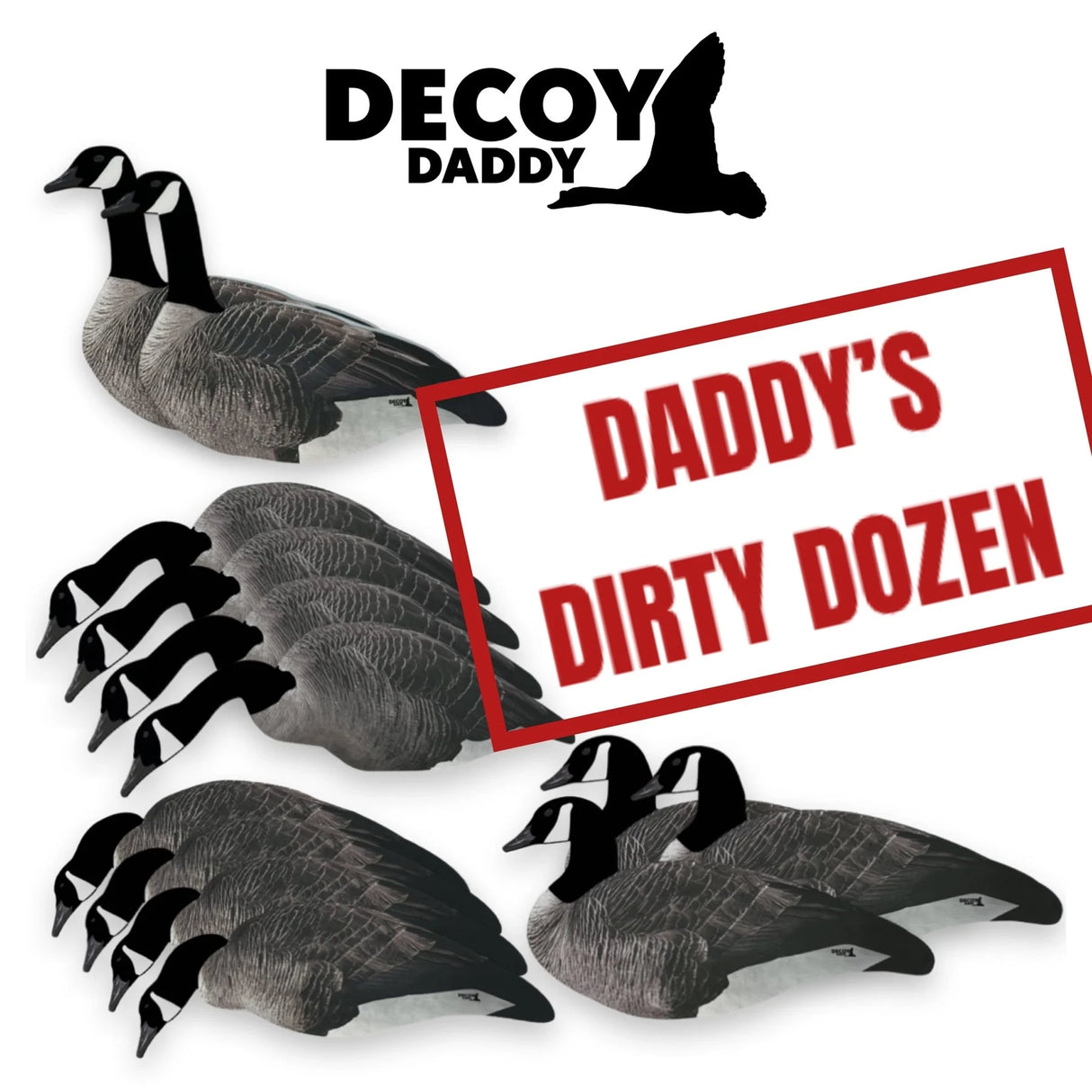 DECOY DADDY CANADA GOOSE TÊTE FLOCKÉE (DOUZAINE)