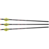 FLÈCHES  ILLUMINÉE (PAK3)