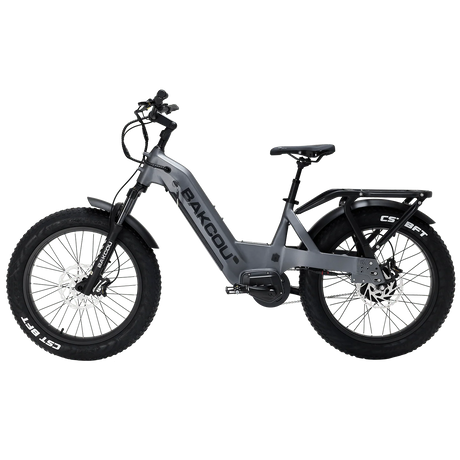 VÉLO ELECTRIQUE FLATLANDER 24" DÉMO